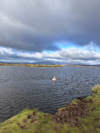 Cold Water Therapy